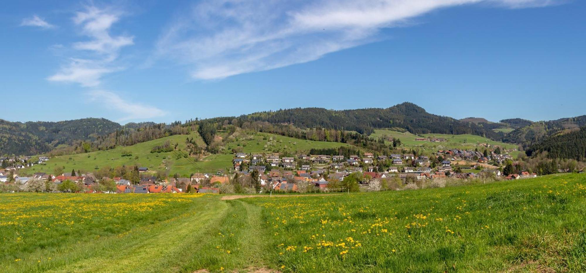 Haus Irmgard Leilighet Zell am Harmersbach Eksteriør bilde