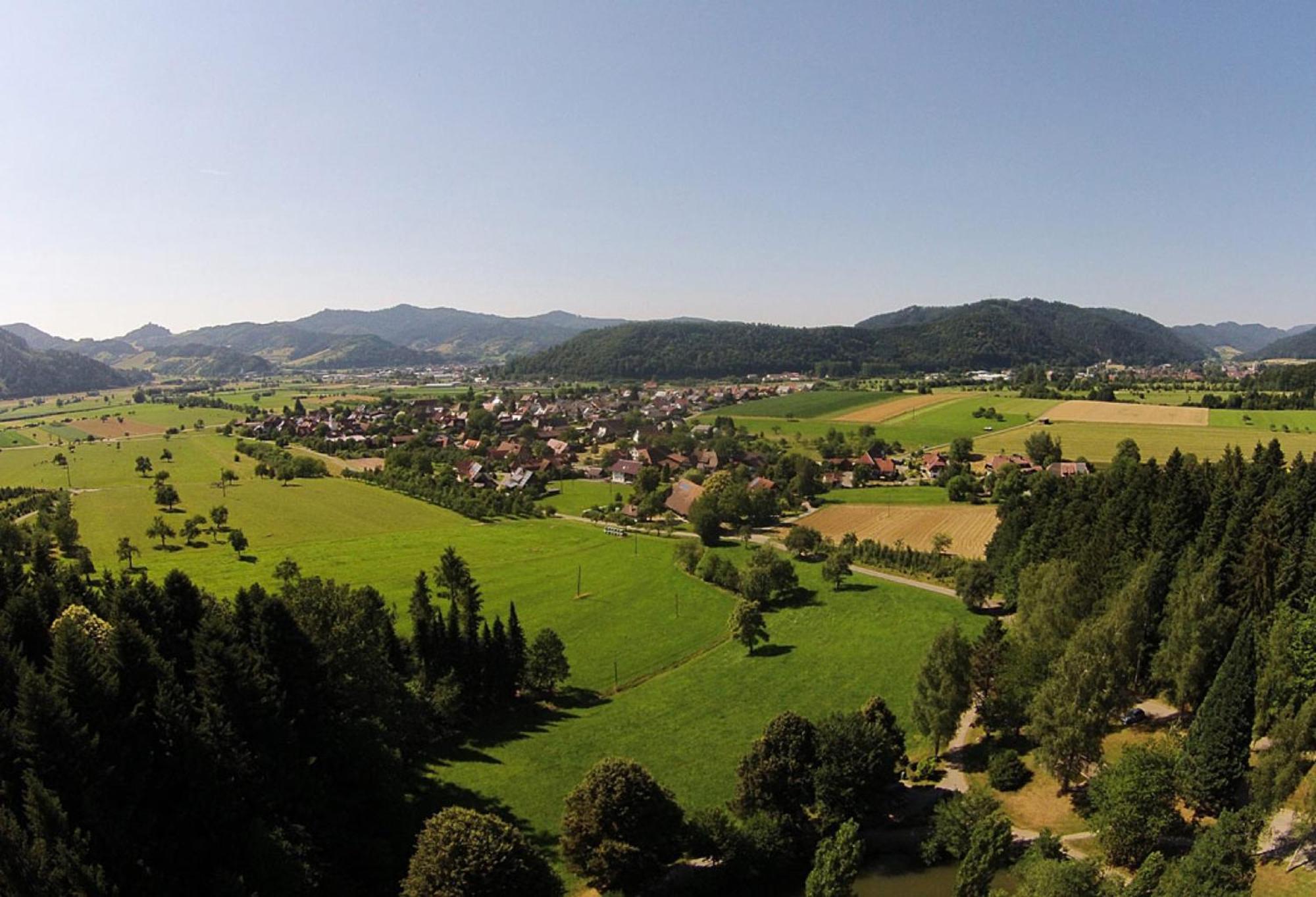 Haus Irmgard Leilighet Zell am Harmersbach Eksteriør bilde